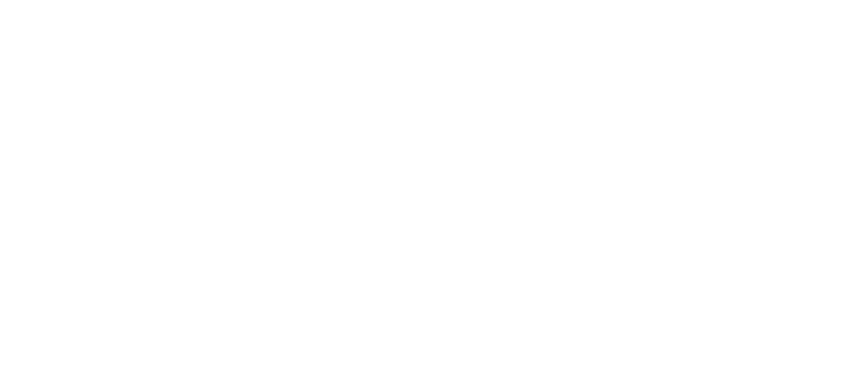 Fast CN IOS免费版